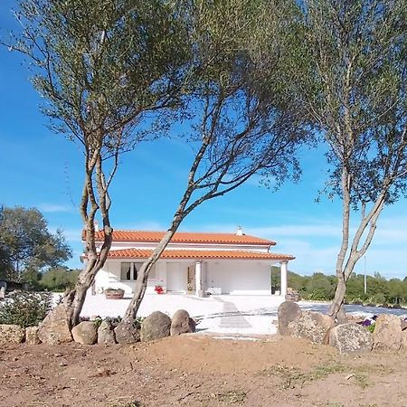 Casa Vacanze Olbia - Alebea - Ngoại thất bức ảnh