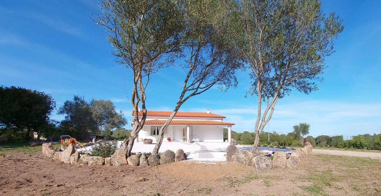 Casa Vacanze Olbia - Alebea - Ngoại thất bức ảnh