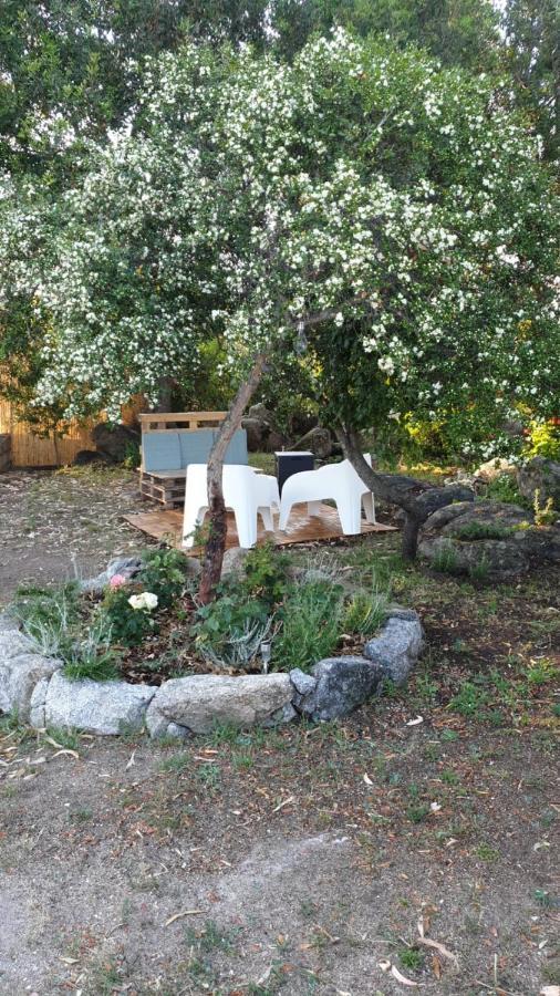 Casa Vacanze Olbia - Alebea - Ngoại thất bức ảnh