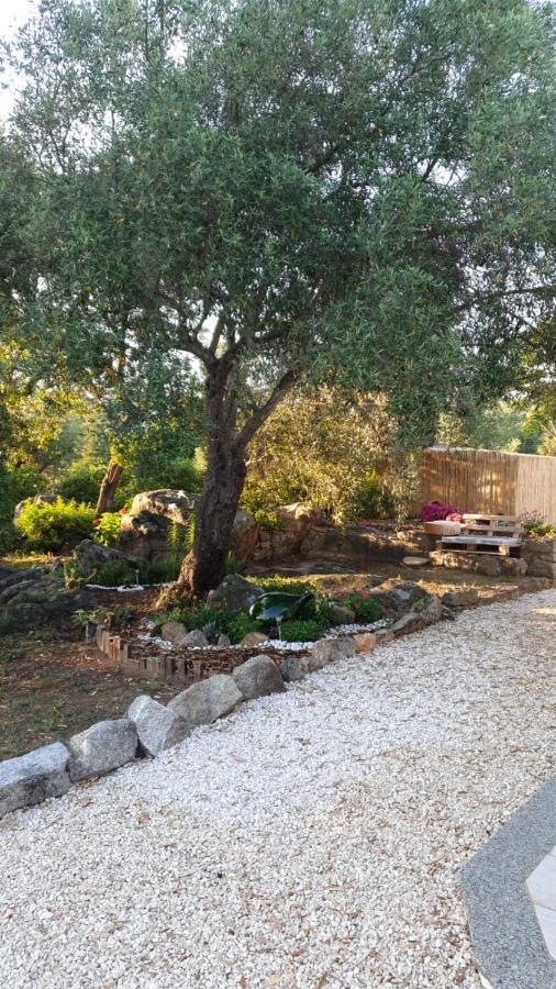 Casa Vacanze Olbia - Alebea - Ngoại thất bức ảnh